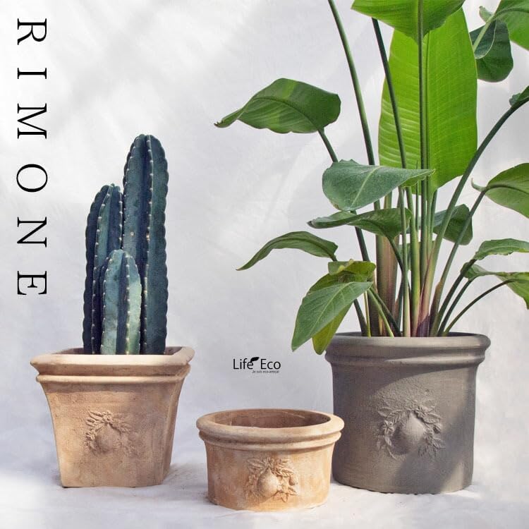 限定ダークブラウン】Nゲージ 都市型マンションD ストラクチャー（完成